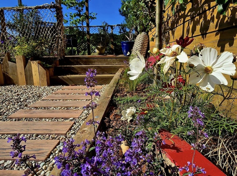 Bosko Beztrosko Dębki  ?v=1.0